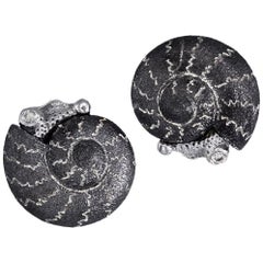 Silver Stud Earrings