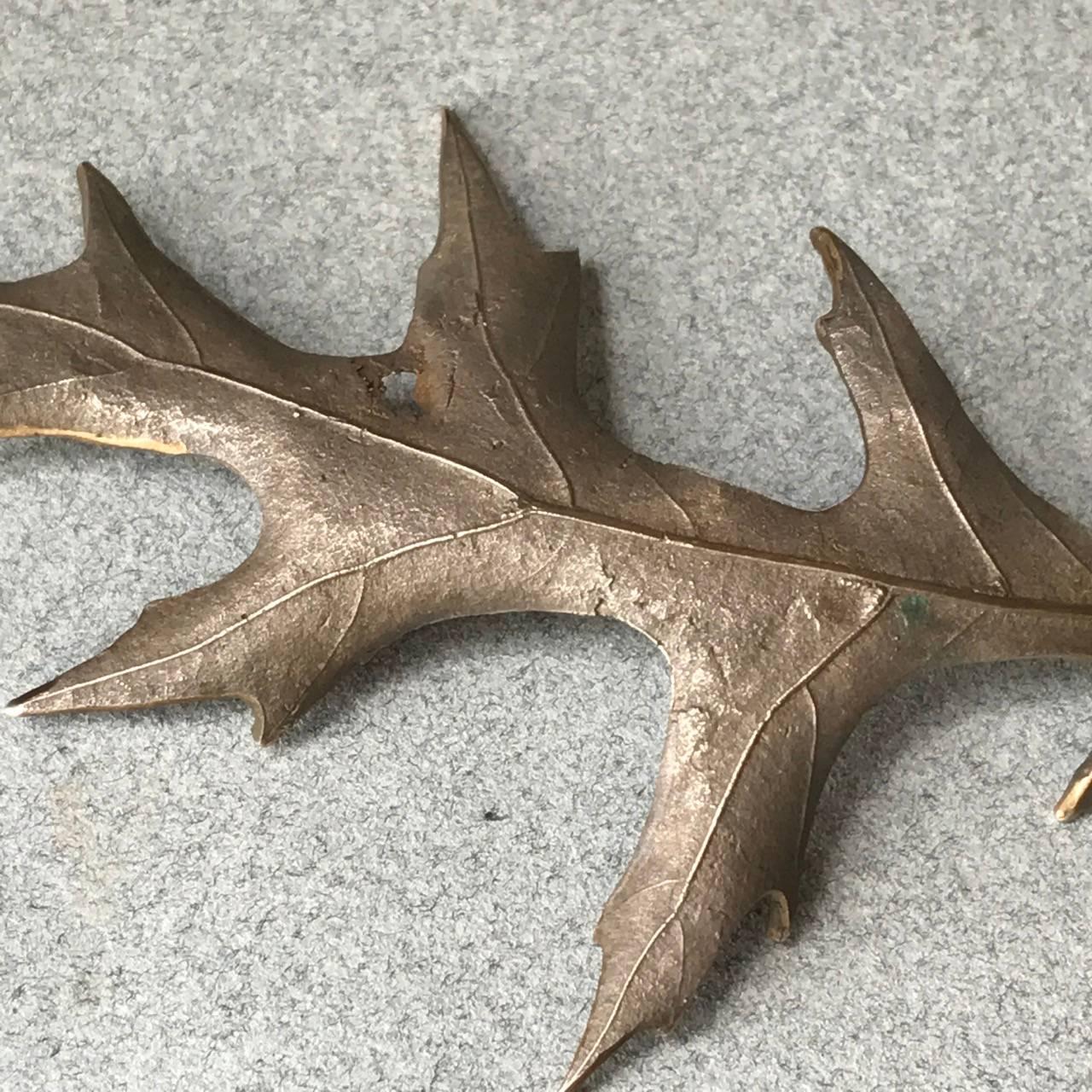 John Iversen Large Patinated  Bronze "One Of A Kind" Oak Leaf Brooch. Very Rare.

These brooches were made from individual leaves and each one is unique.

Complimentary gift box and FREE shipping included.

About the artist:
John Iversen