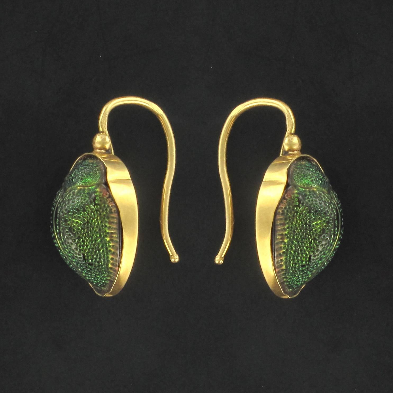 gold beetle earrings