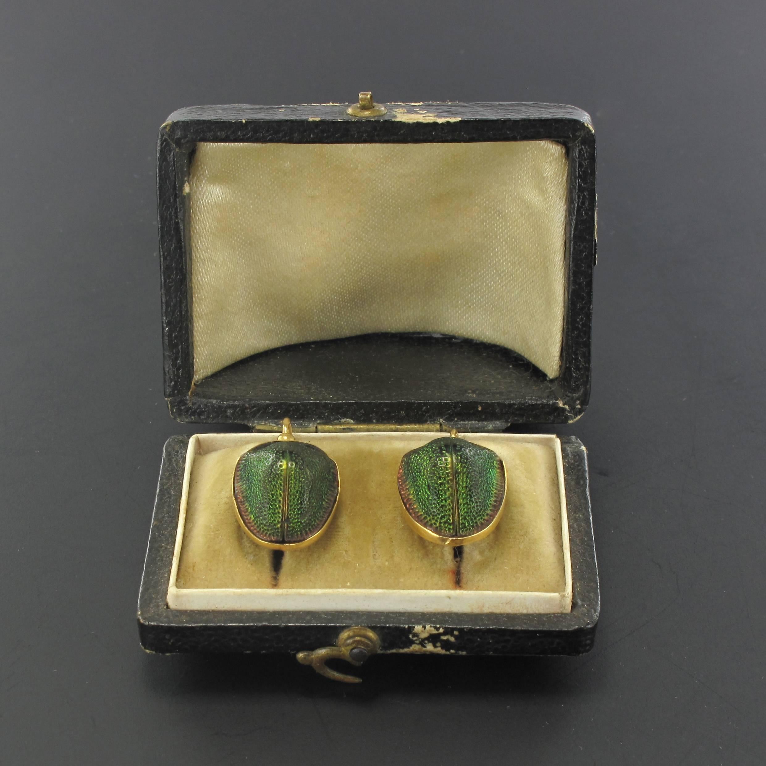 Earrings in 18 carat yellow gold, eagle head hallmark. 
These rare sleeper earrings are set with real beetles with iridescent green and red hues. 
Each antique sleeper earring is set at the top with a small golden bead that marks the beginning of