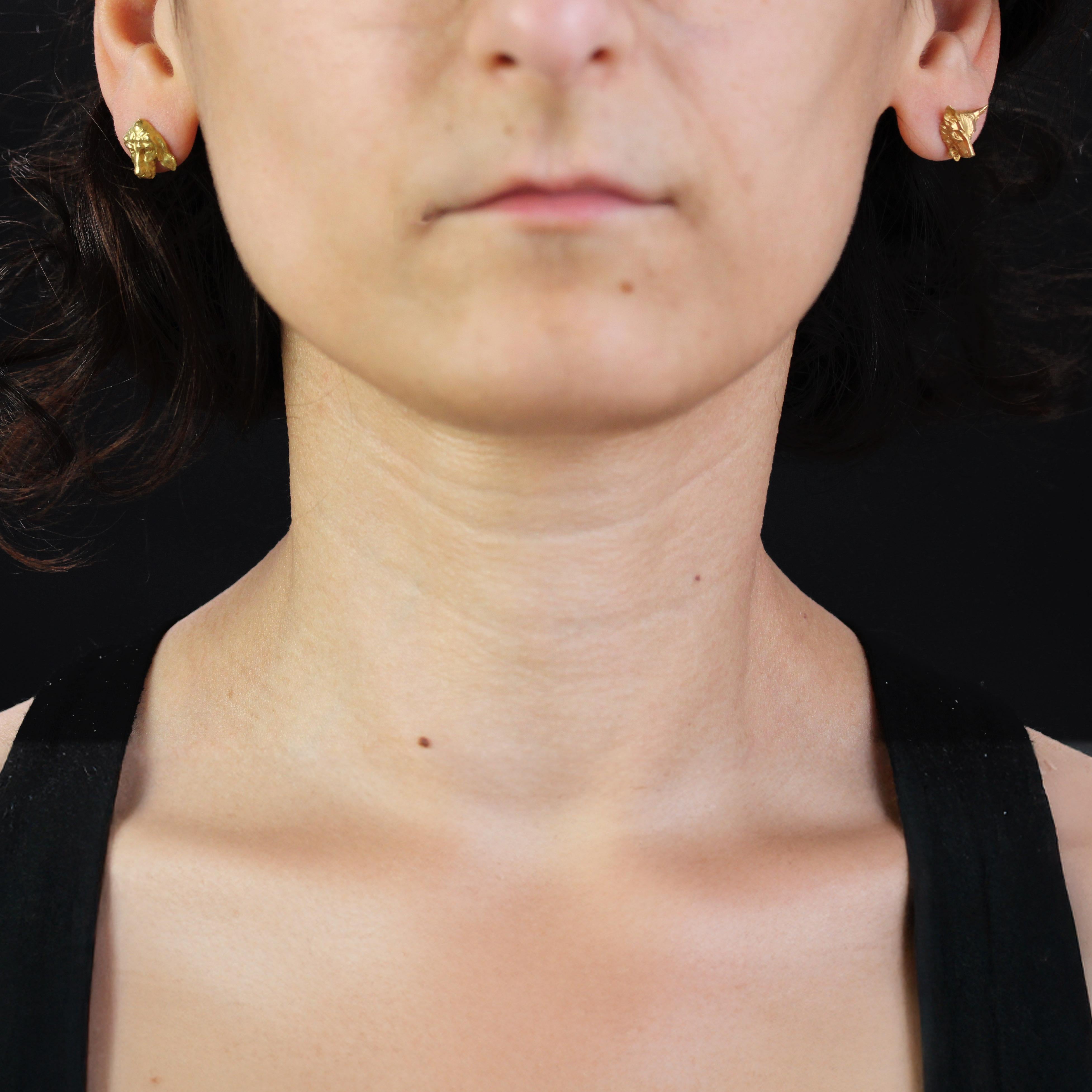 Para orejas perforadas.
Par de pendientes de oro amarillo de 18 quilates.
Una representa la cabeza de un zorro, la segunda la de un perro de caza. El sistema de fijación es de mariposa.
Altura : Aproximadamente 11,5 mm, Anchura : Aproximadamente
