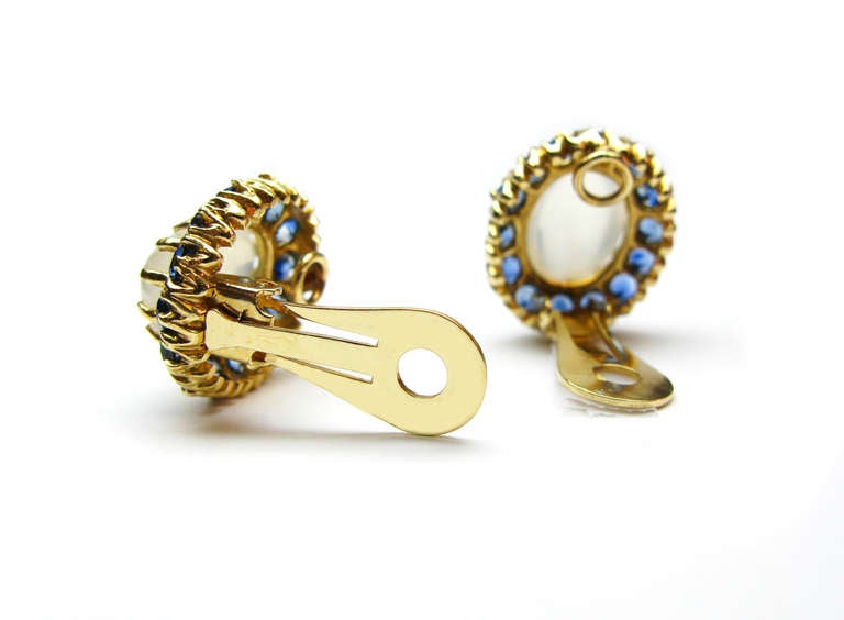 Women's Sapphire and Moonstone Earrings
