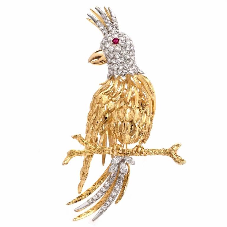 1960s Diamond Gold Parrot Bird Brooch Pin For Sale at 1stdibs