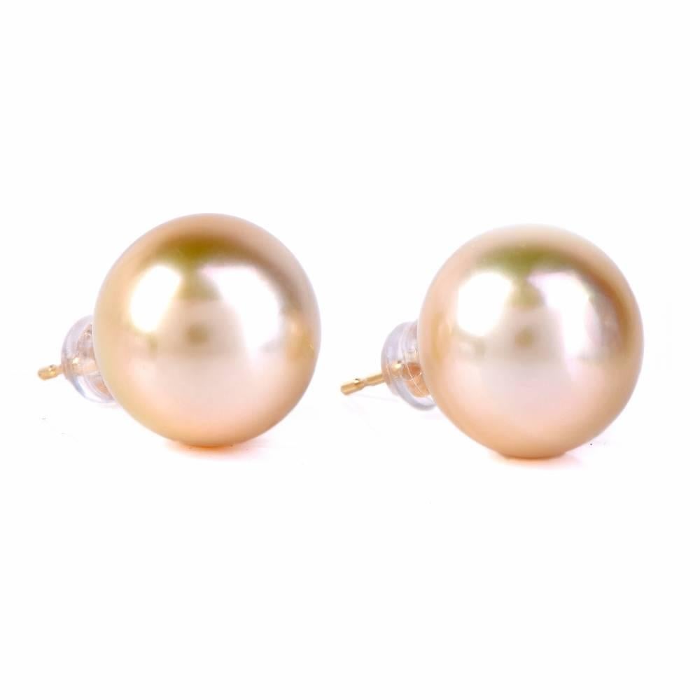 Women's Golden South Sea Pearl Stud Earrings