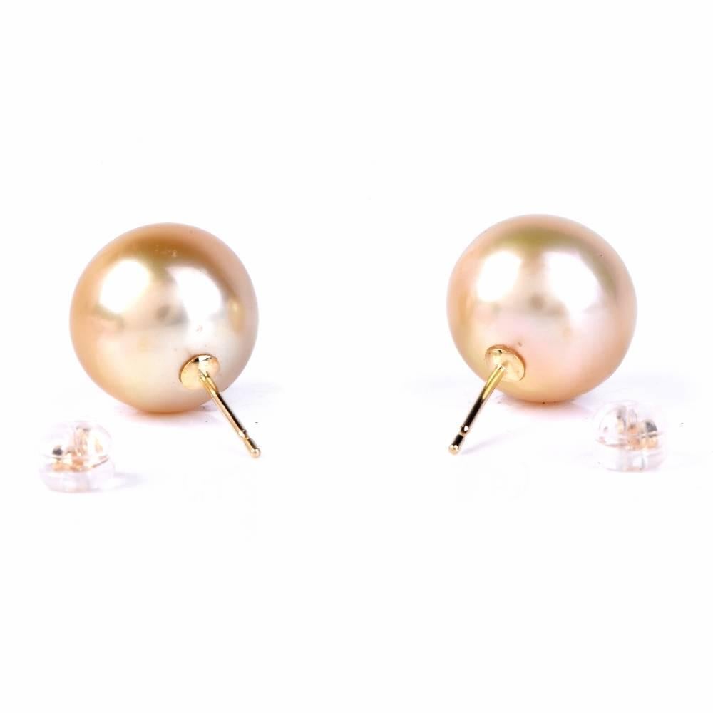Golden South Sea Pearl Stud Earrings 1