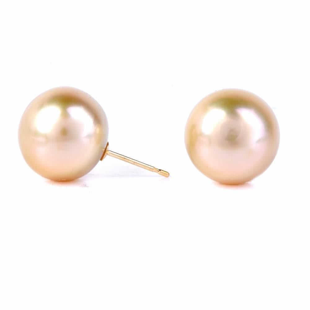 Golden South Sea Pearl Stud Earrings 2