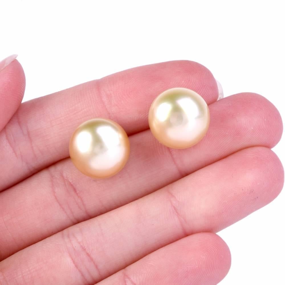 Golden South Sea Pearl Stud Earrings 3