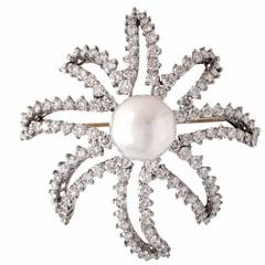 Tiffany & Co Diamond Platinum South Sea Pearl Firework Brooch