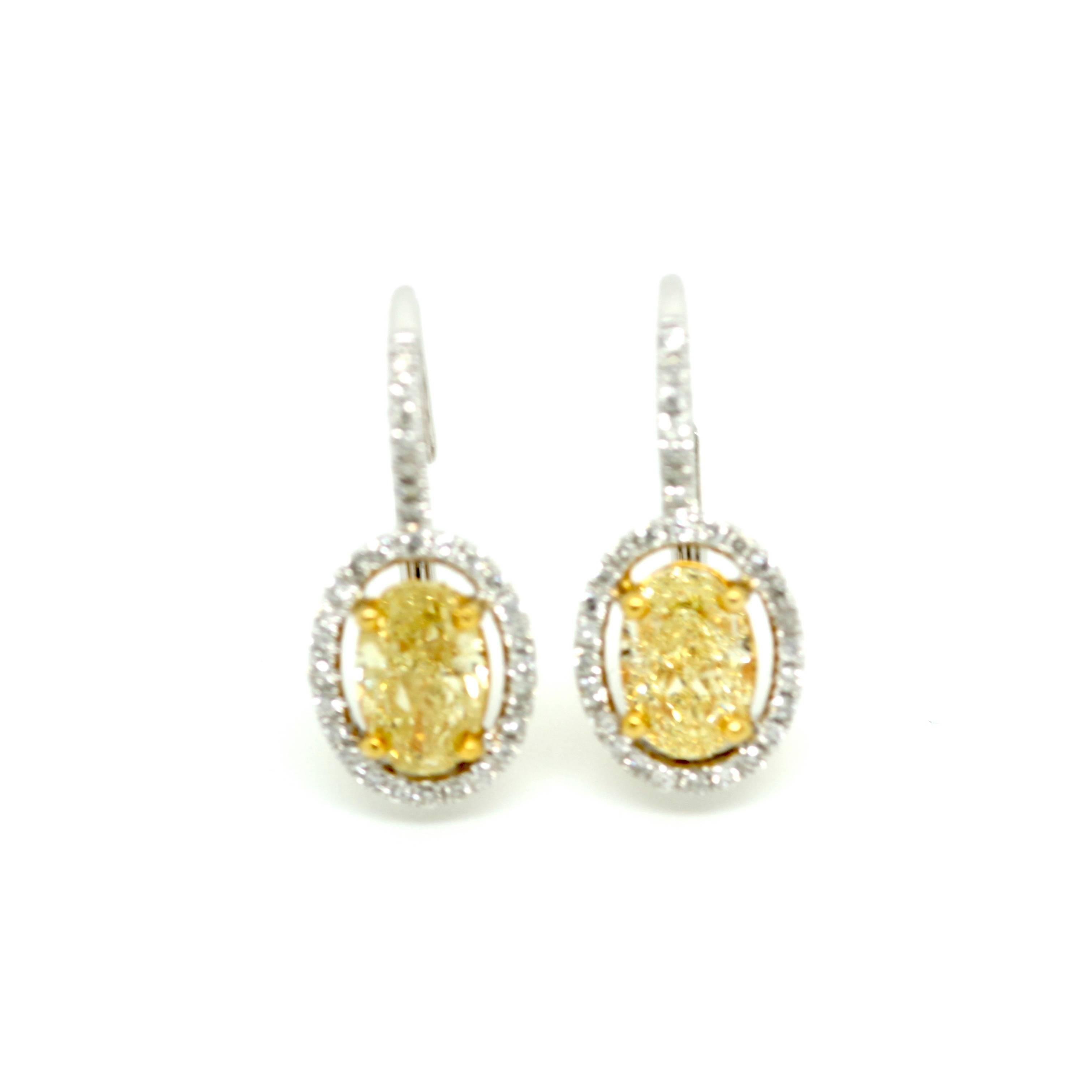A pair of oval 2.09ct total weight natural fancy yellow diamond drop earrings with a 0.33ct white diamond surround set in 18k white gold. 

