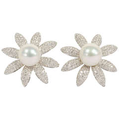 Stunning South Sea Pearl and Diamond Earrings 4