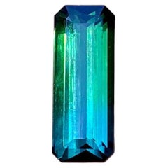 5,04 carats. Pierre précieuse naturelle en tourmaline bicolore, taille octogonale, originaire d'Afghanistan