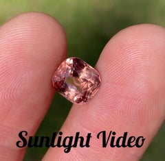 Dragon, grenat de Malaisie, 4.72 carats. Pierre précieuse naturelle, certifiée par le GIA et le GFCO