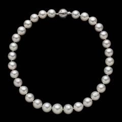 South Sea Pearl Necklace on White Gold Ball Clasp