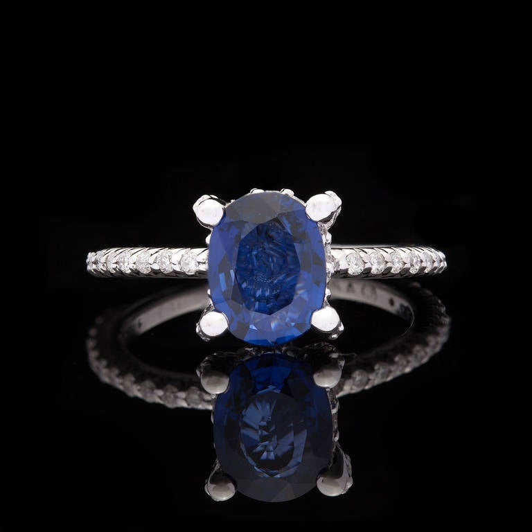 2.0ct Oval Cut Blue Sapphire and 48 Round Cut Diamonds Set on a Delicate 2mm 14Kt White Gold Mounting. The diamonds total approximately 0.36cts. The ring is a size 8.0 and weighs 4.1 grams.