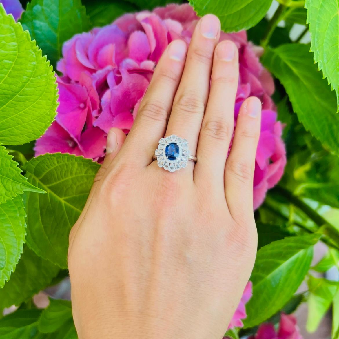 Lebendiger Ring aus blauem und weißem Saphir und Diamant Damen im Angebot