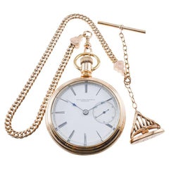 Rockford Watch Co. Goldgefüllt mit seltenem, antikem, magnetischem Schild aus der Zeit von 1870