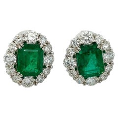 5 Carat Emerald and Diamond Halo Stud Earrings in 18k White Gold