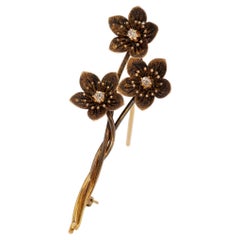 Broches
