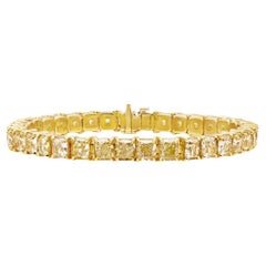 LEGACY 28 Carats Fancy Color 1 Carats Each  GIA Certified  Natural Brilliance
