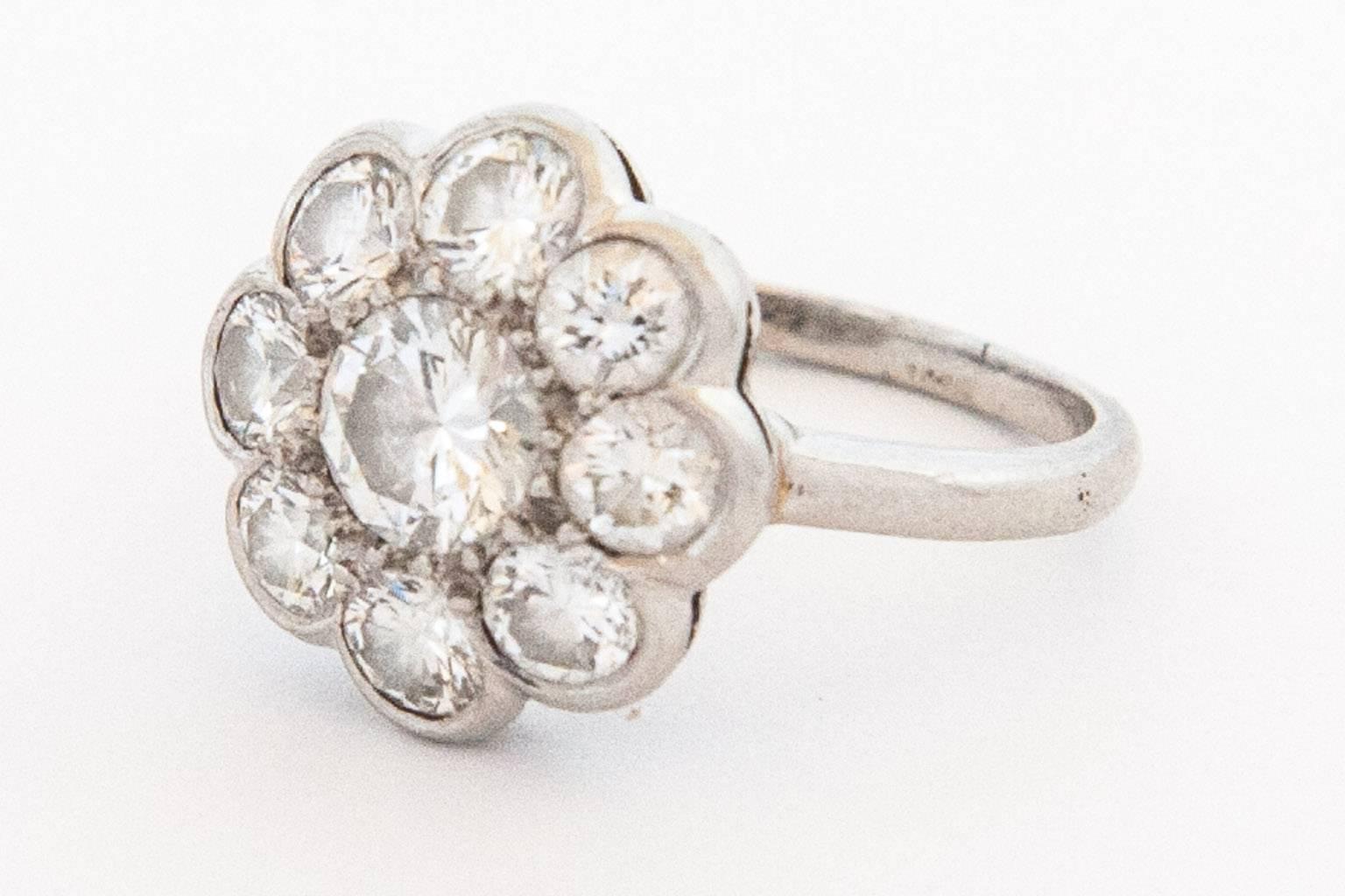 A Nine Round Brillant Cut Diamond Daisy Cluster ring, pave set in platinum on a 2.2mm shank.