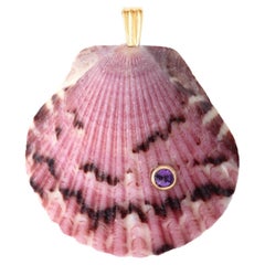Ama Natural Shell Pendant with 14k Gold and Amethyst Natural Gemstone