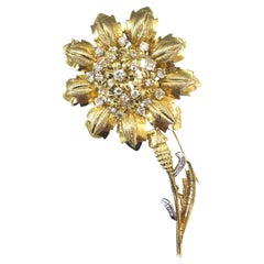 Brooches