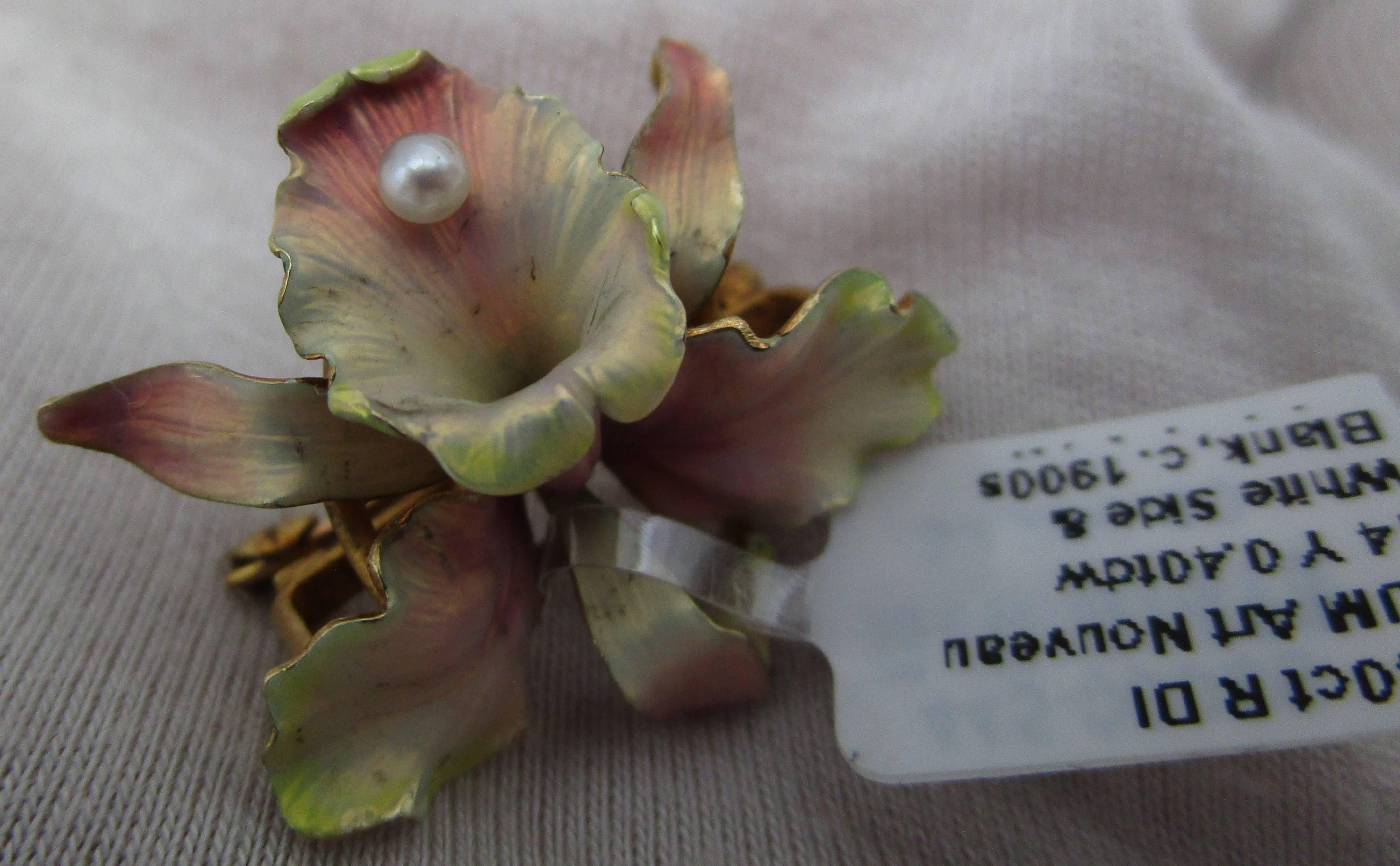 1900s Whiteside y en blanco Art Nouveau Perla 14 Kilates Oro Amarillo Broche Orquídea 5