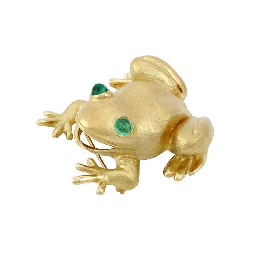 emerald-eyed tree frog