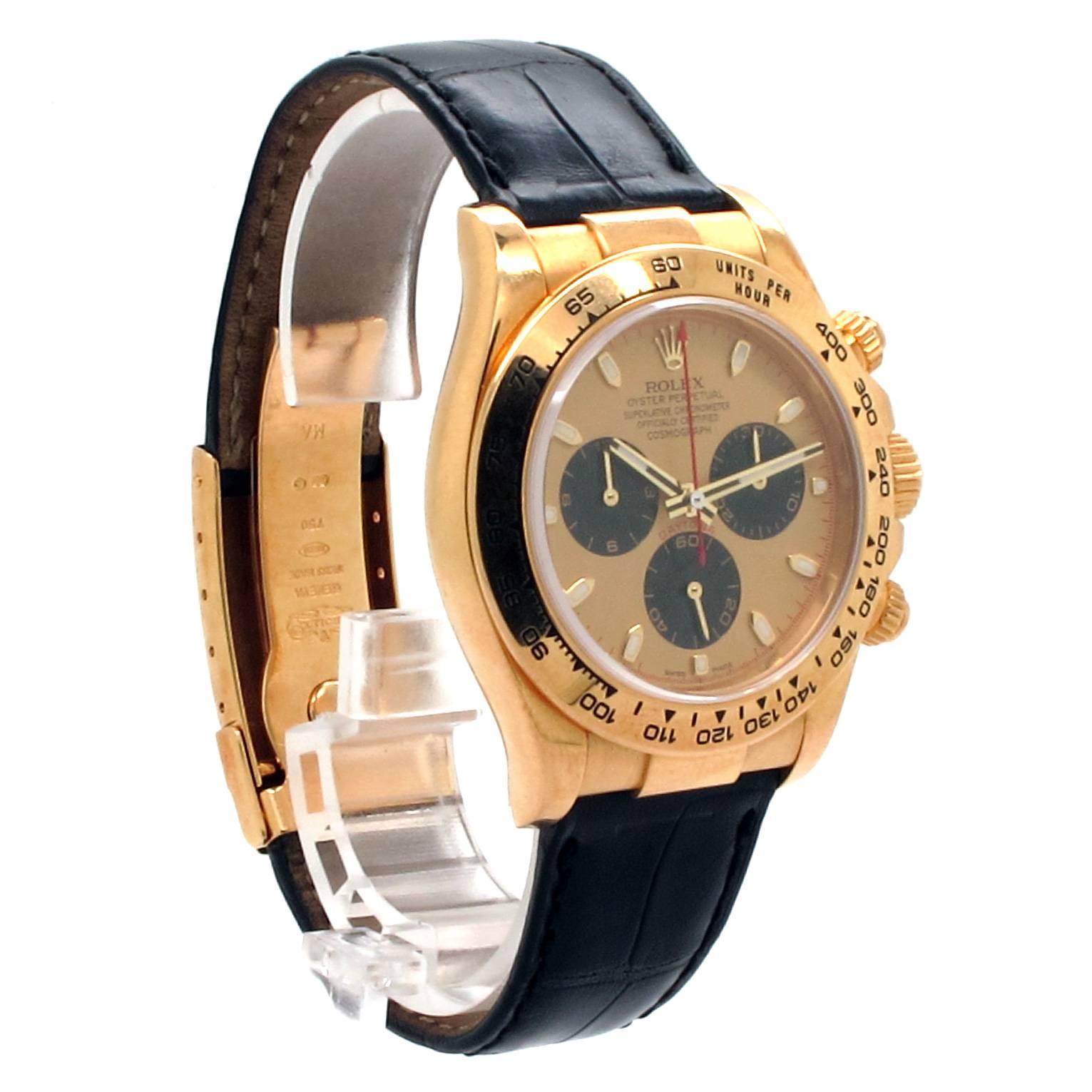 paul neuman daytona