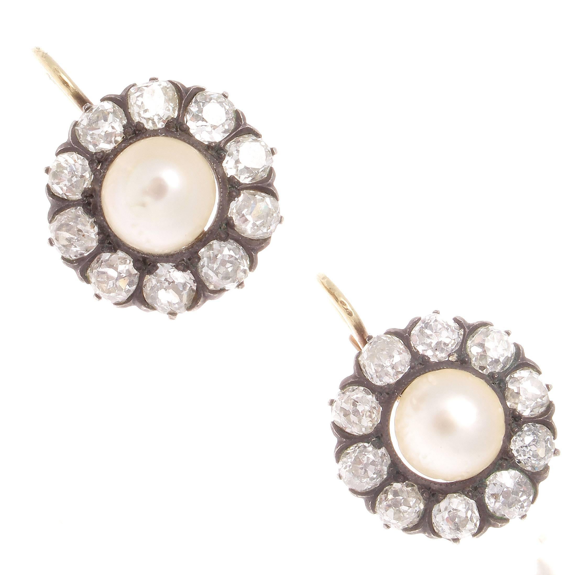Pearl Diamond Gold Silver Earrings