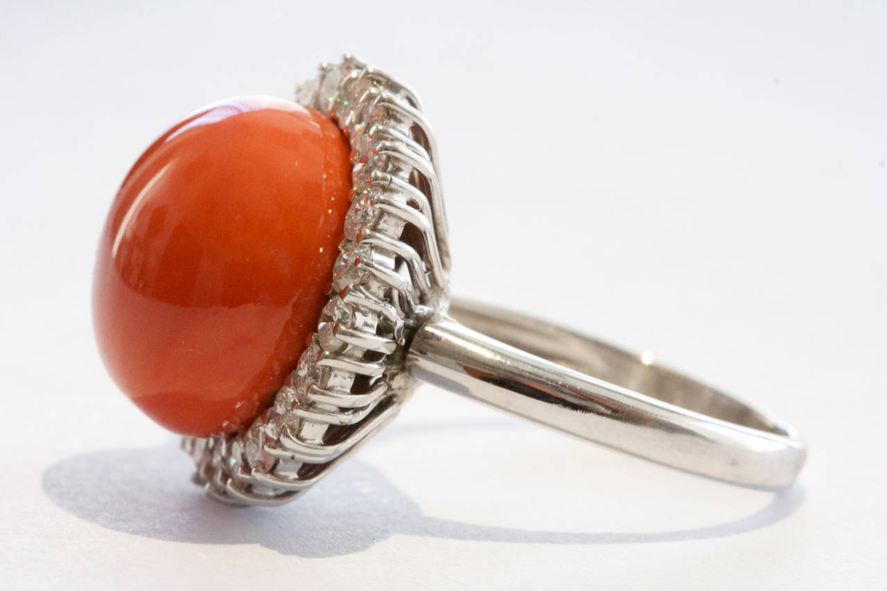 An elegant and beautiful halo design featuring a cabochon coral that has been surrounded by clean white diamonds. Crafted in 18k white gold.

Ring size 6 1/2 and can be re-sized.