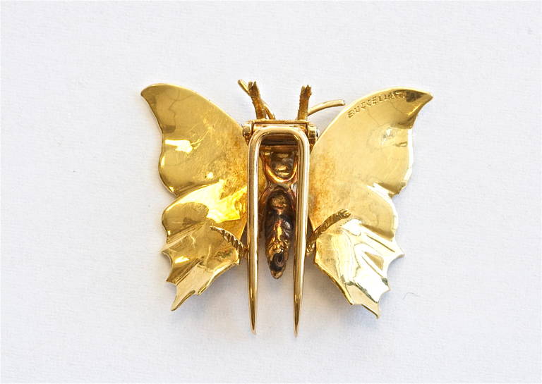 Buccellati Gold Butterfly Brooch