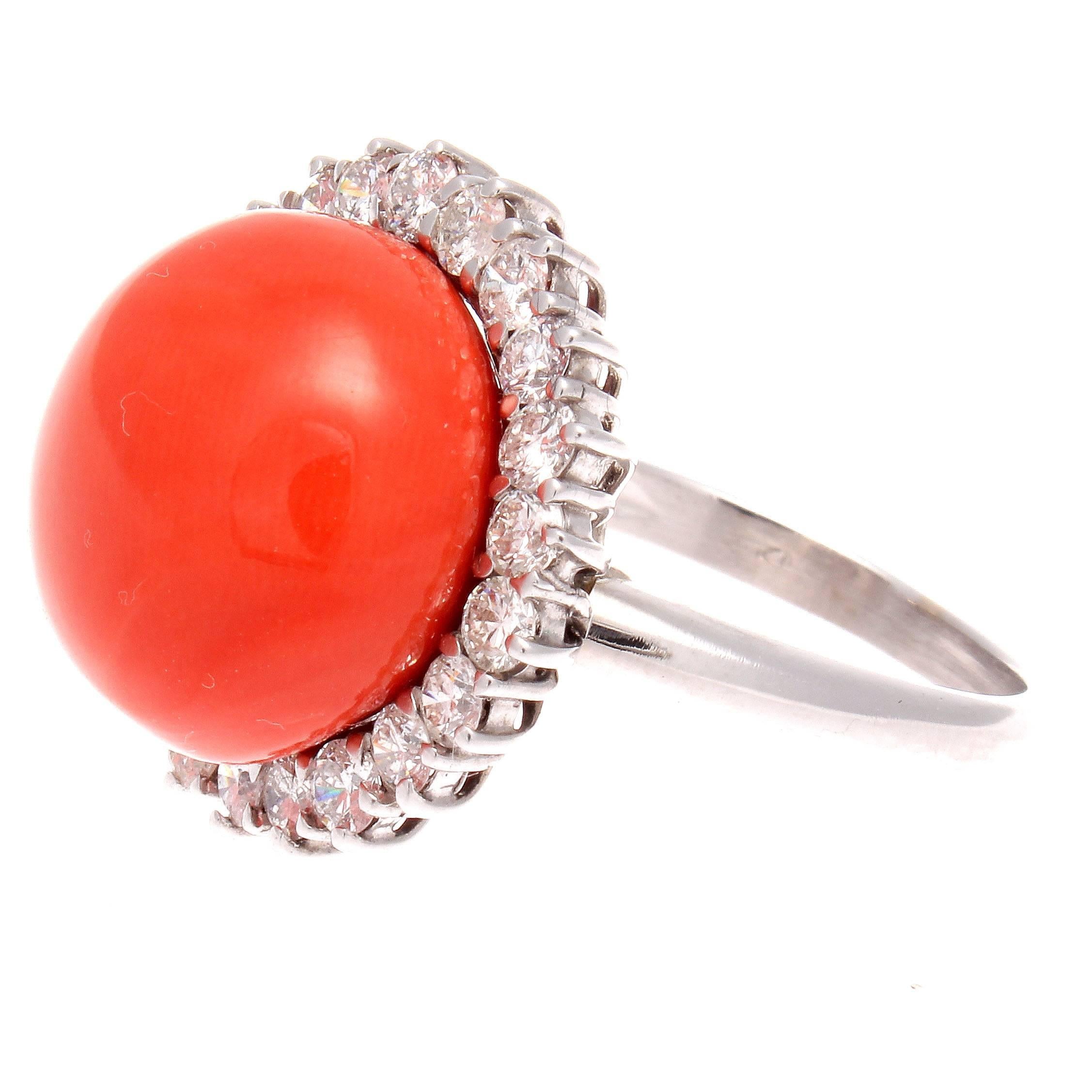 A colorful creation of natural beauty. Featuring a cabochon cut reddish-orange coral elegantly surrounded by a halo of near colorless diamonds. Crafted in 18k white gold.

Ring size 7 and may be resized to fit.