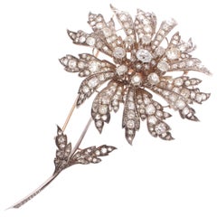Large Entremble 19th Century European Diamond Gold Flower Brooch