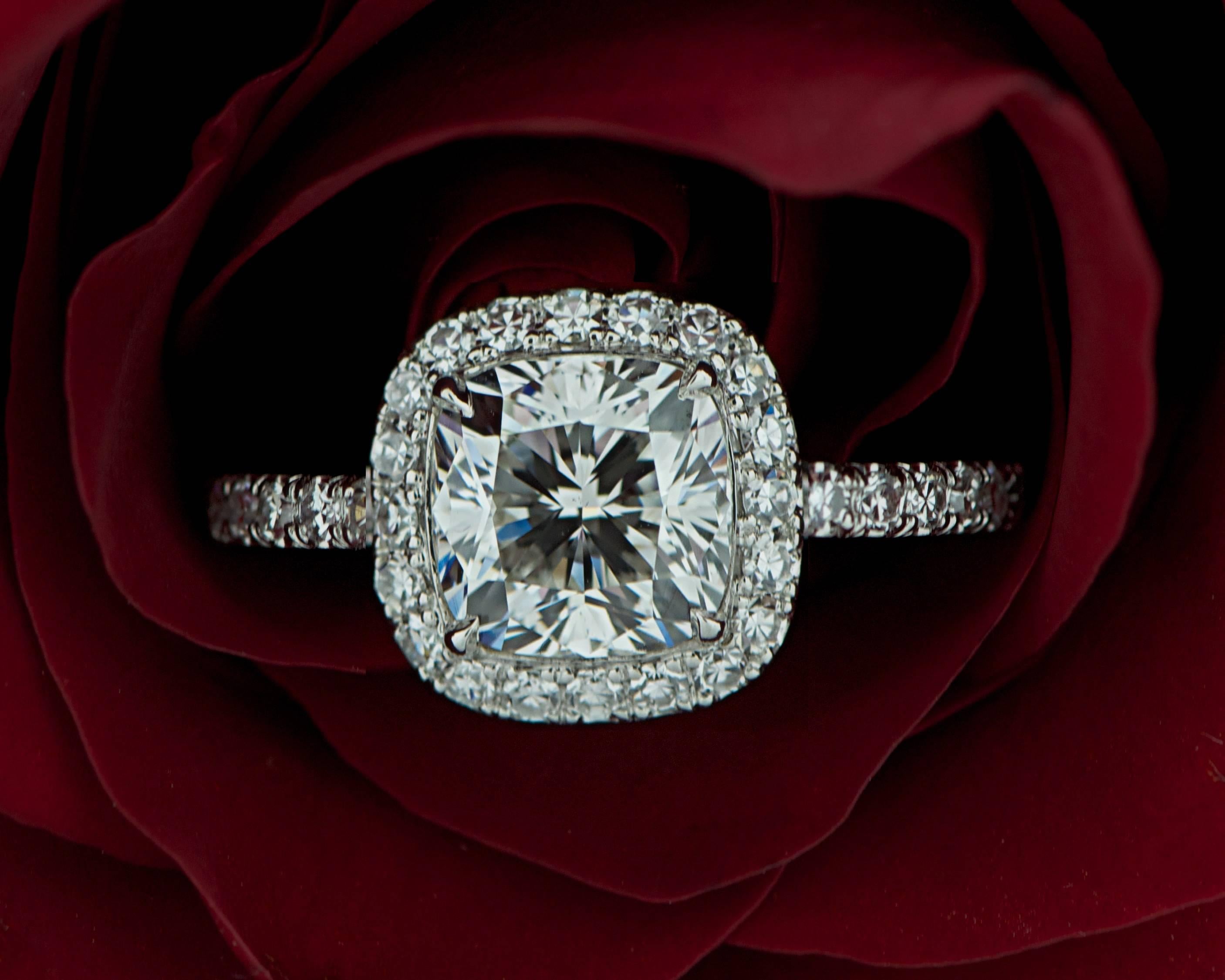 Marisa Perry micro pave diamond engagement ring in platinum. Ring features a Cushion Cut diamond with a diamond halo with diamond micro pave going three quarters of the way down the shank. 

Created by Haute Jewelry Designer Douglas Elliott for