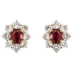 Platinuum & 18k Ruby Earrings