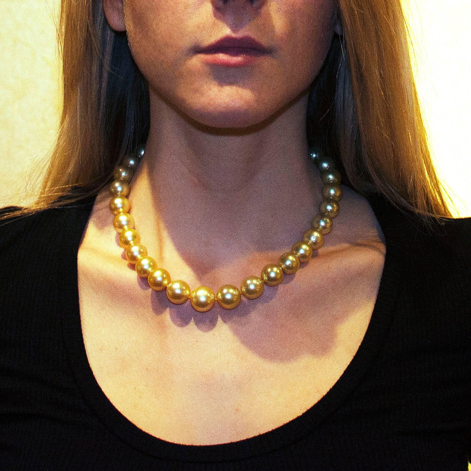Modern South Sea Golden Pearl Necklace
