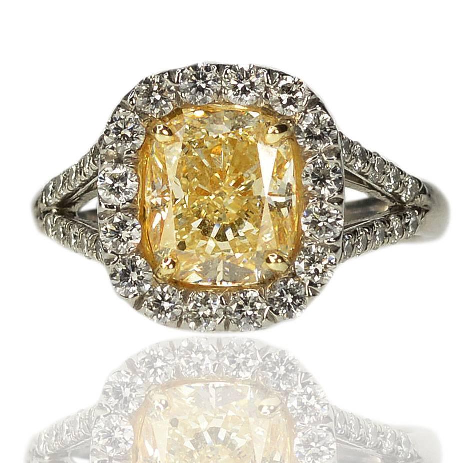 Platinum and 18k Ring with one 2.56 carat cushion cut VS clarity natural canary yellow diamond and 36 round brilliant diamonds weighing 0.73 carats. 7.42g