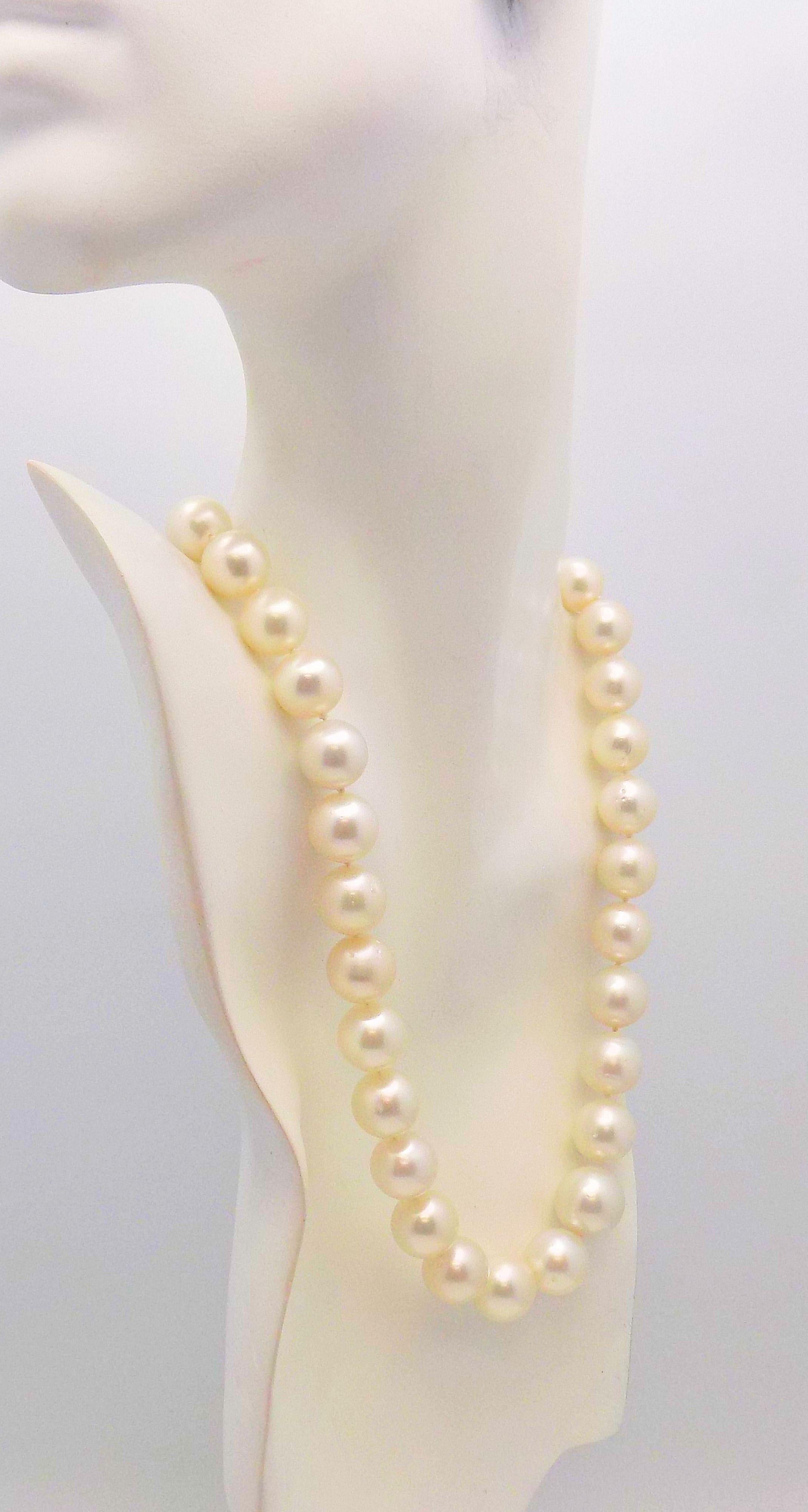Classic Strand South Sea Cultured Pearls Measuring 13 X 16 MM. Excellent Luster, Round.  33 Pearls; 19.5