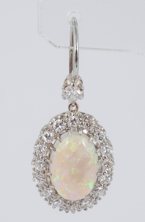 These very pretty Opal and Diamond oval cluster drop earrings are set in Platinum.