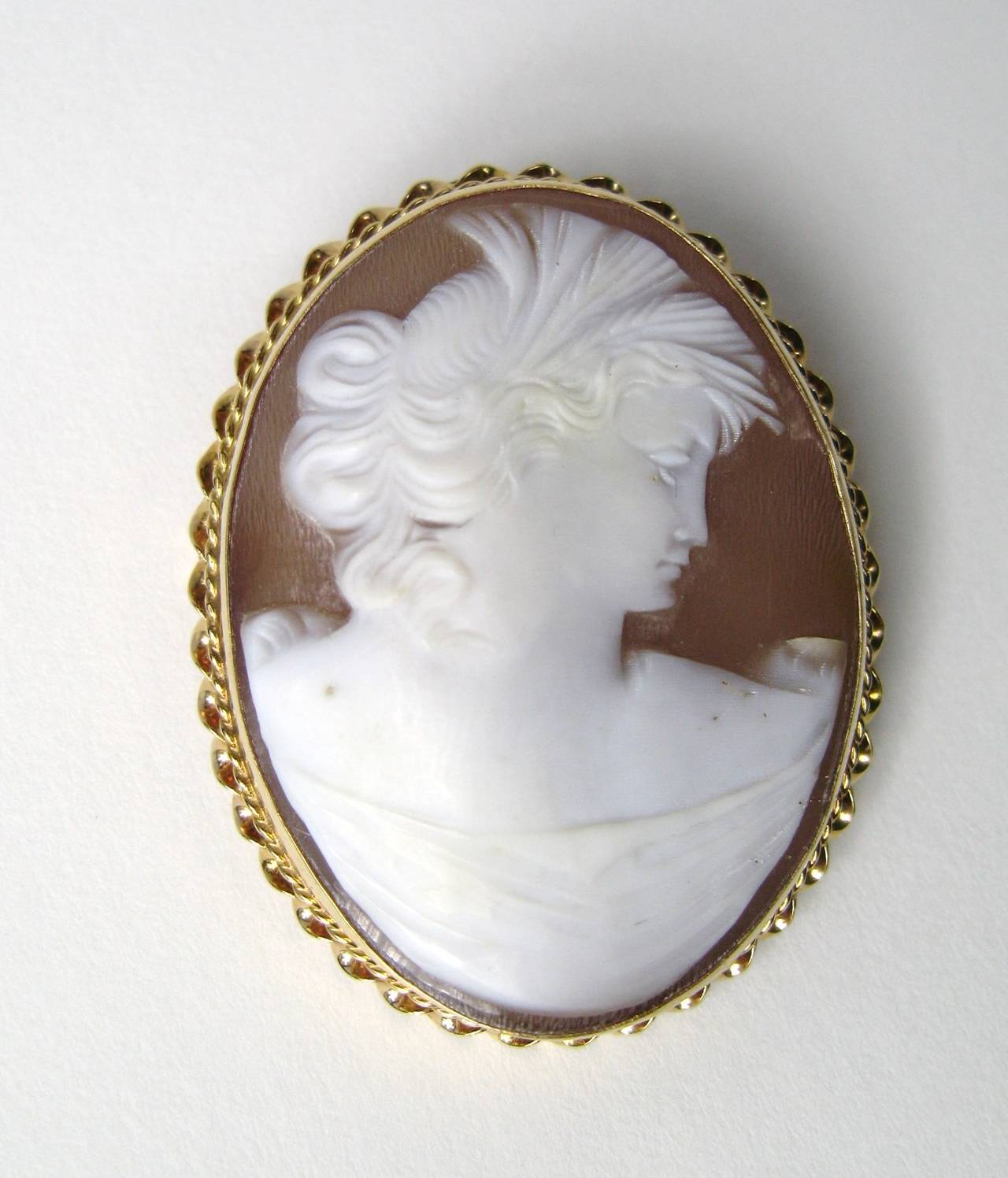 Stunning Carving on this lovely Victorian lady's Hair, swept up with curls. Set in a 14K gold surround. It is both a pin and a pendant Bale folds down when worn as a brooch. Measures 1.65 in x 1.28 in. This is out of a massive collection of