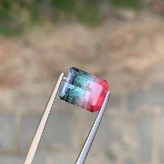 Vivid Red Teal Green and Violet Pink Tricolor Elbaite Tourmaline for Collection