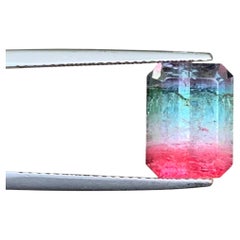 Vivid Red Teal Green and Violet Pink Tricolor Elbaite Tourmaline for Collection