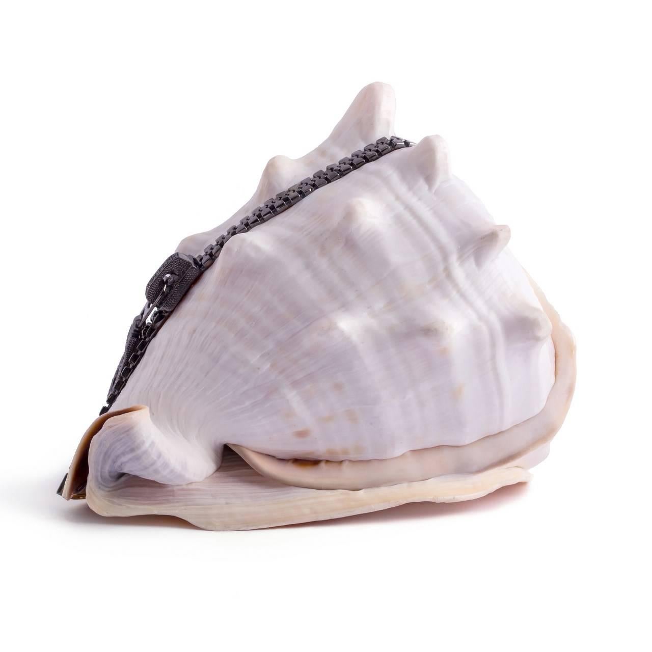 Modern Amedeo Cerniera One of a Kind Hand-Carved Sardonyx Shell For Sale