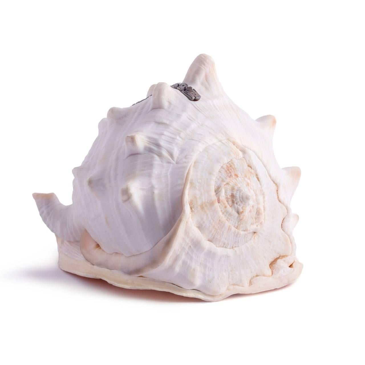 Amedeo Cerniera One of a Kind Hand-Carved Sardonyx Shell In New Condition For Sale In New York, NY