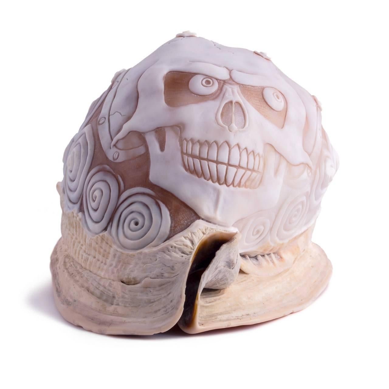 Modern Amedeo Teschio One of a Kind Hand-Carved Sardonyx Shell For Sale