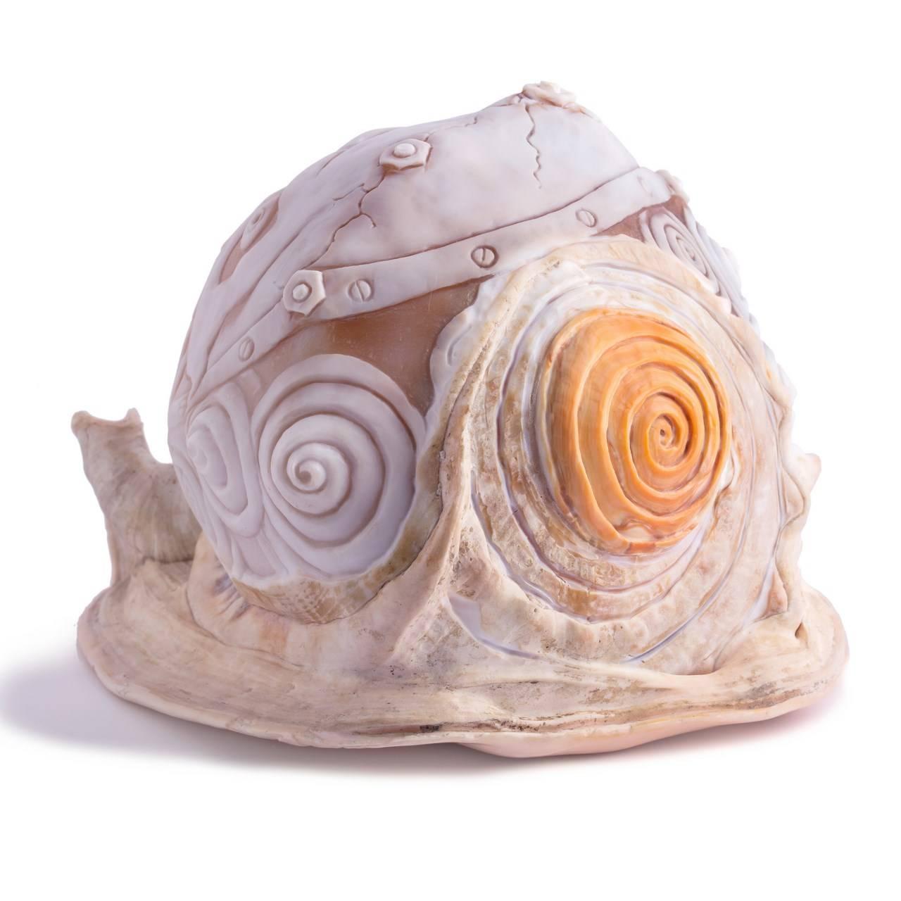 Amedeo Teschio One of a Kind Hand-Carved Sardonyx Shell In New Condition For Sale In New York, NY