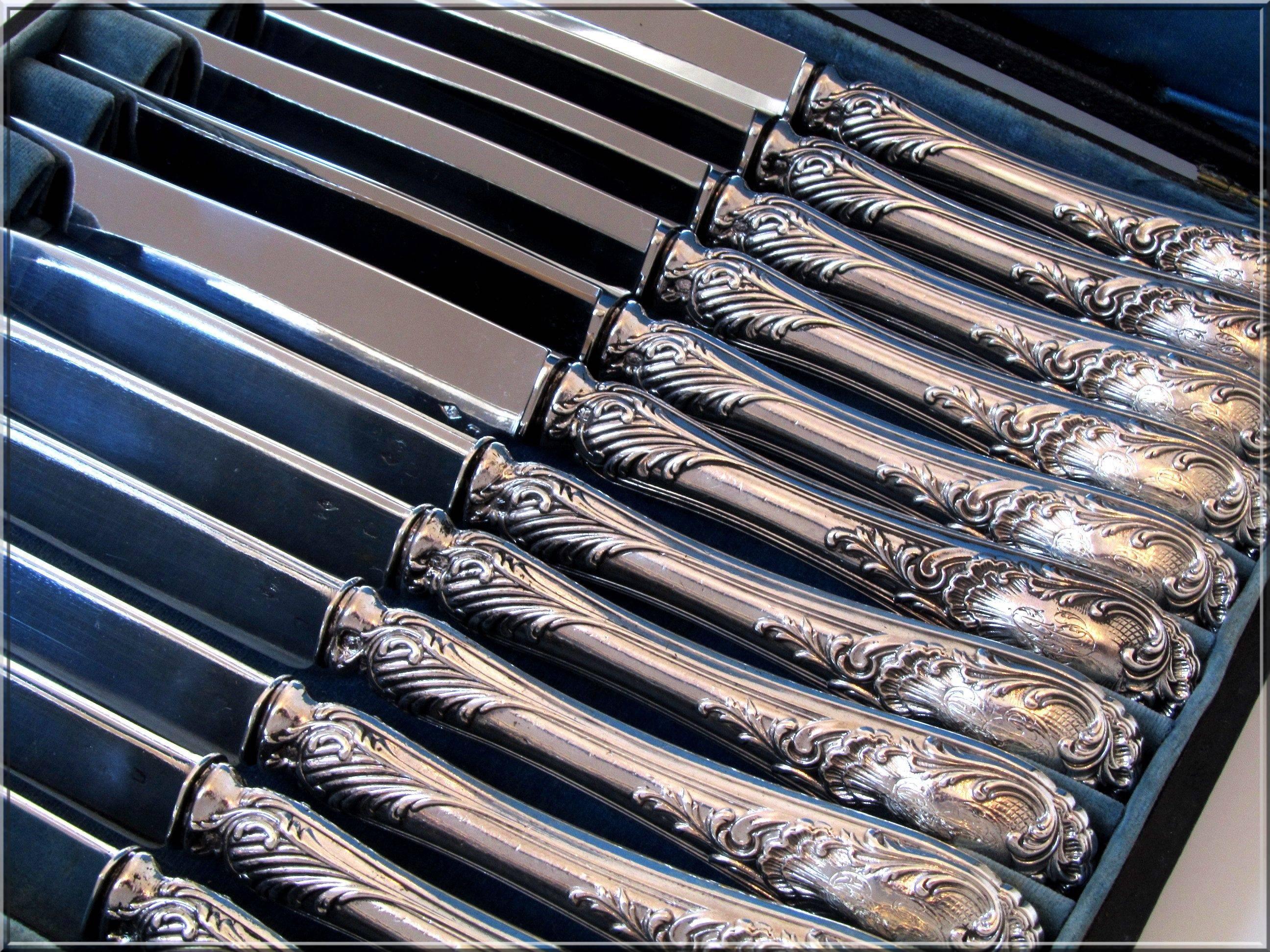 Women's or Men's Puiforcat French Sterling Silver Dessert and Fruits Knife Set 12 pc box Rococo