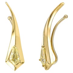 18-Karat-Gold-Ohrstecker mit 0,54 Karat Naturdiamant (Kite, FLY, P1) – zertifiziertes Geschenk