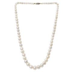 A Single Row Natural Saltwater Pearl Necklace